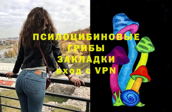 сатива Абинск