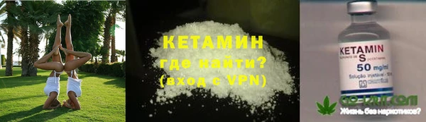 сатива Абинск