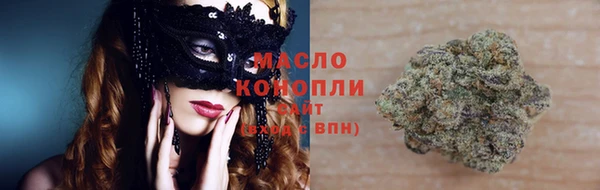 сатива Абинск
