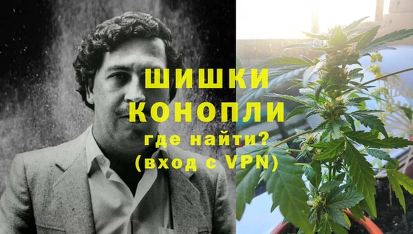 сатива Абинск