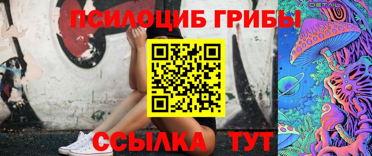 Галлюциногенные грибы Psilocybine cubensis Новосибирск